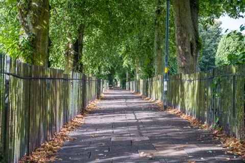 Cycling and Walking Path Stock Photos