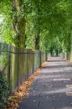 Cycling and Walking Path Stock Photos