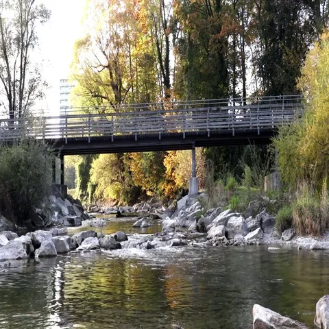 Cycling on the bridge above the river Stock Footage 69631798