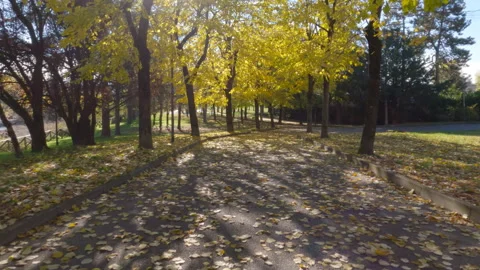 Cycling on the cycle path that connect Voghera to Varzi, Italy Stock Footage 322061790