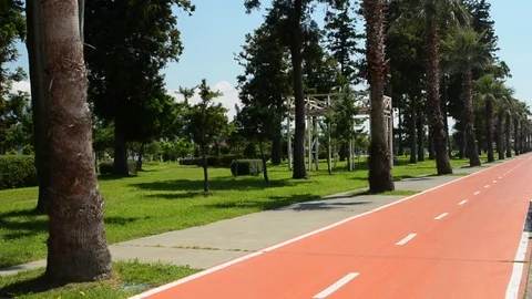 Cycling on a cycle path Stock Footage 77246207