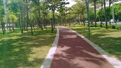 Cycling Cycle path in public park - red cycle path trees Stock Footage 160976250