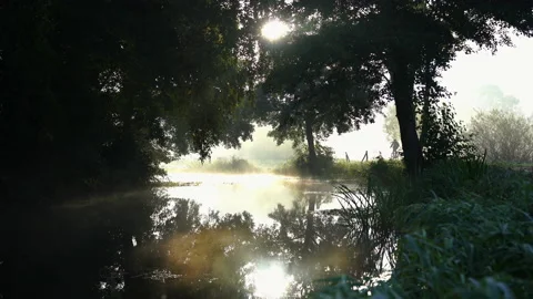Cycling at dawn Stock Footage 230417756