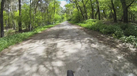 Cycling with dogs Video stock 23181176