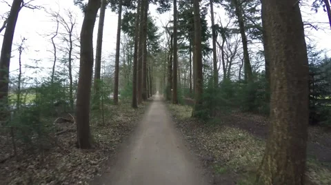 Cycling fast over forest path with trees on left right side first person view 4k Stock Footage 61392221