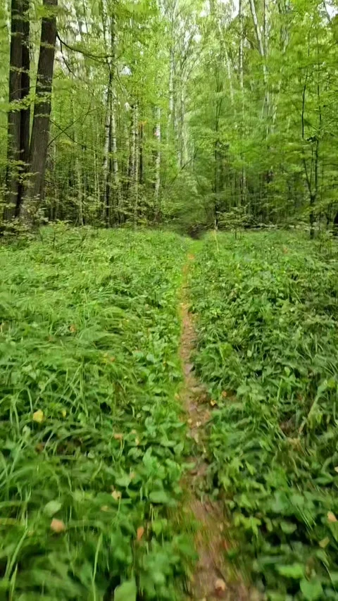 Cycling. First-person view. Point of view. Stock Footage 318930512