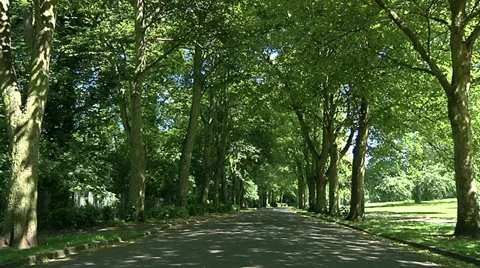 Cycling Stock Footage 22637629