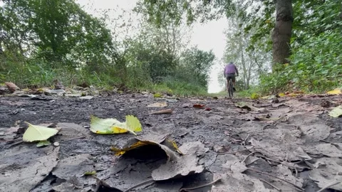 Cycling in the forest Stock Footage 252354444