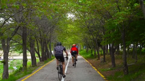 Cycling in forest pathway Video stock 271347378