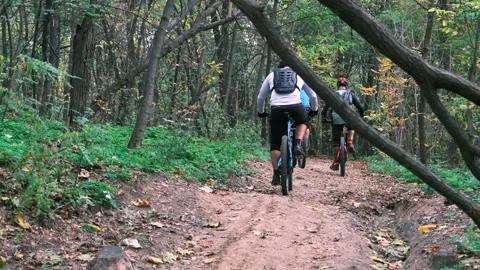 Cycling in the forest. Rear view of a group of people riding bicycles 動画素材 146337423