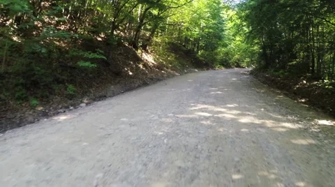 Cycling on forest roads Video stock 41891531