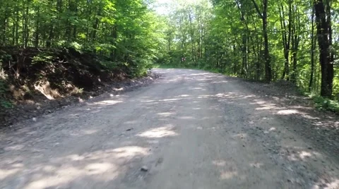 Cycling on forest roads Stock Footage 41891665