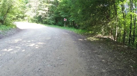 Cycling on forest roads Video stock 41892040