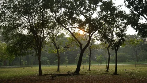 Cycling &amp; Jogging in Park 스톡 동영상 108383151