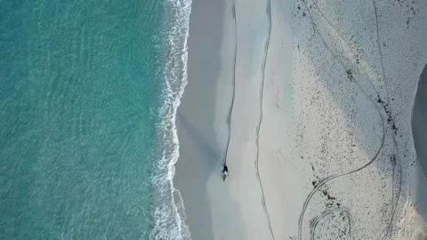 Cycling on the Ocean beach Video stock 271347375
