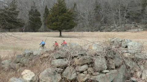 Cycling in the park Stock Footage 365461