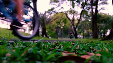 Cycling in the park Video stock 83498774