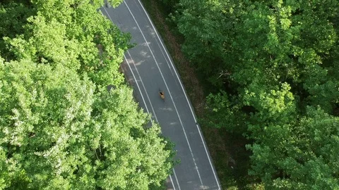 Cycling in the park Video stock 89451634