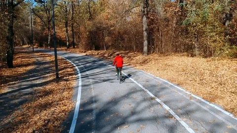 Cycling in the park Stock Footage 98356405