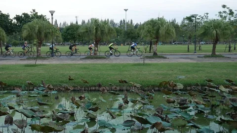 Cycling in park Stock Footage 103577425