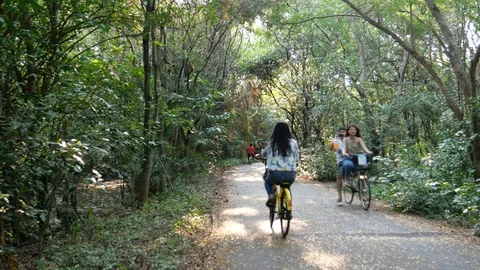 Cycling in park Stock Footage 122314039