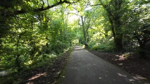 Cycling in the park Video stock 314739383