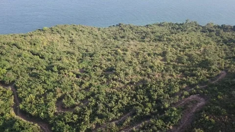 Cycling path Stock Footage 299949249