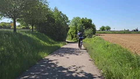 Cycling path with trees. Recreation outdoor and travel. Landscape in summer Stock Footage 315213977