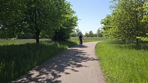 Cycling path with trees. Recreation outdoor and travel. Landscape in summer Stock Footage 315214254
