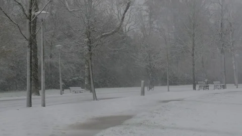 Cycling in the Snow 스톡 동영상 83983279