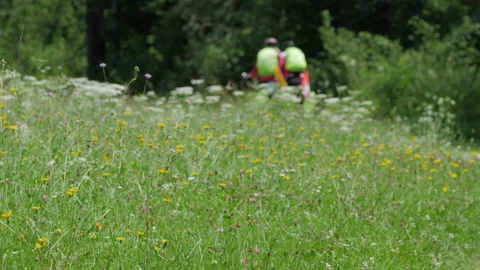 Cycling through an Austria mountain meadow scene Stock Footage 201222466