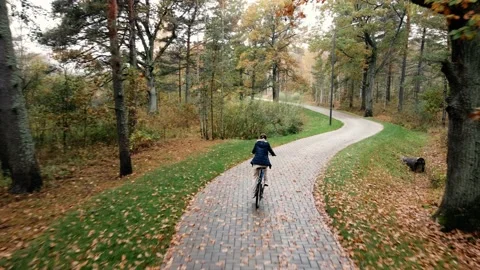 Cycling through the autumn park Stock Footage