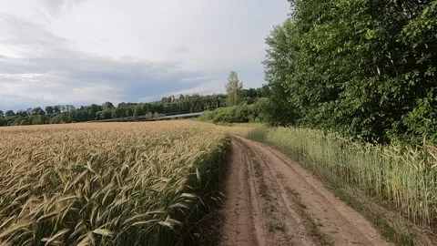 Cycling through the field Video stock 143201491