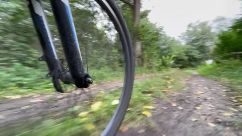 Cycling through the forest Stock Footage 252354801