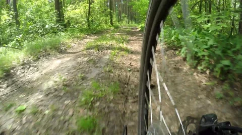 Cycling through the forest. View of the rear wheel Stock Footage 64789588
