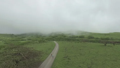 Cycling through a greenery Stock Footage 114349750