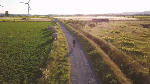 Cycling through the Vineyards Stock Footage 124668537