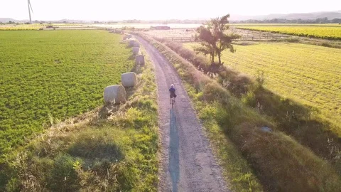 Cycling through the Vineyards Stock Footage 124668538