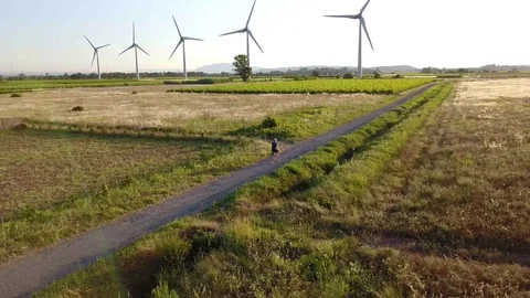 Cycling through the Vineyards Stock Footage 124668544