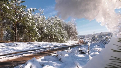 Cycling through the winter forest Stock-Footage 101740772