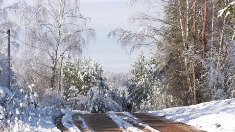 Cycling through the winter forest Stock-Footage 101740776