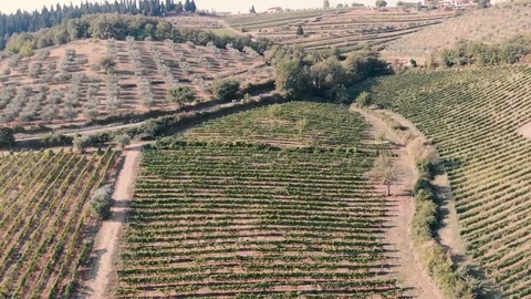 Cycling in Tuscany Stock Footage 114769353