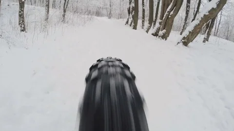 Cycling in the winter forest. Action camera shot. Type of rear wheel. Video stock 71792735