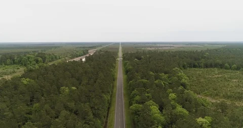 Cyclist alone in huge forest area on long straight road in Texas drone aerial 4K Stock Footage 111363416