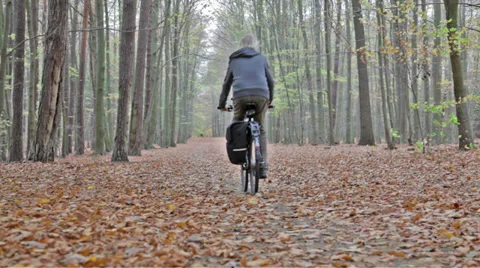 Cyclist in autumn / fall forest Stock Footage 32234593