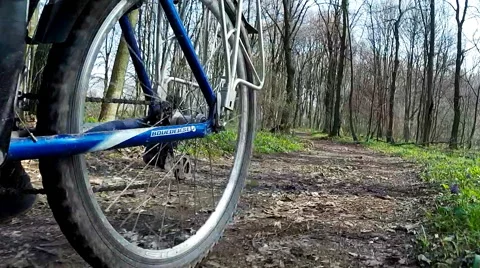 Cyclist bike while riding bicycle on forest road. Stock Footage 63497977
