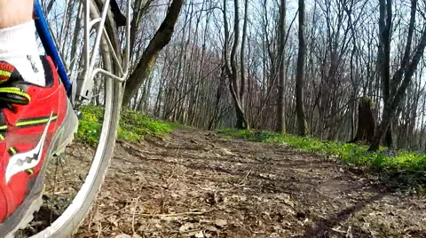 Cyclist bike while riding bicycle on forest road. Stock Footage 63498925
