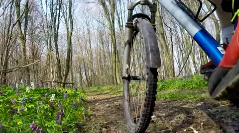 Cyclist bike while riding bicycle on forest road. Stock Footage 63500065