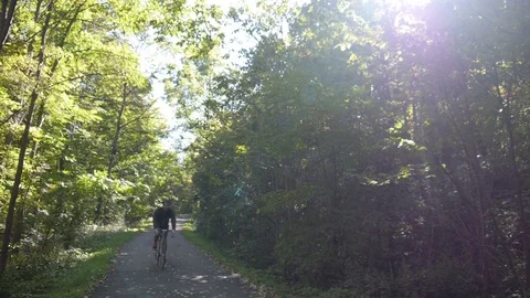 Cyclist biking on trail in woods Stock Footage 74070293
