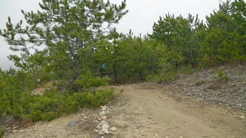 A cyclist in black is driving through a winding section of a forest road. Stock Footage 120424441